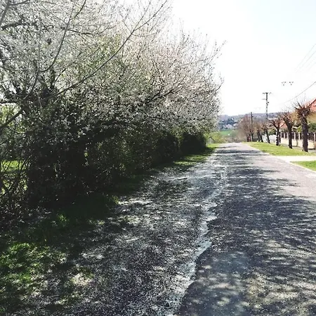 Park Apartman Appartamento Hévíz